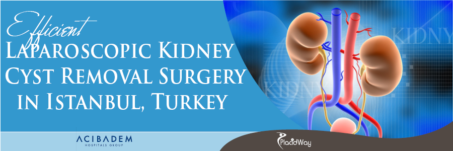 Laparoscopic Kidney Cyst Removal Surgery in Istanbul, Turkey